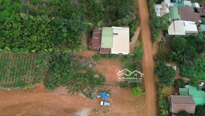 bán đất tại đường tân lạc, xã hoà bắc, di linh, lâm đồng, 1,5 tỷ, 145m2 bao đẹp