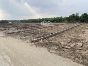 bán gấp đất 275m2 tại xã trung chính, lương tài, bắc ninh, giá tốt 2,75 tỷ