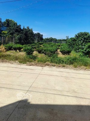 bán nhanh đất trung tâm hoà ninh, diện tích 10*30, giá 2tỷ, 6.7tr/m2