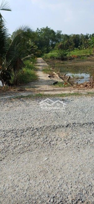 chính chủ bán hoặc cho thuê 1014m2 đất thổ, ven rạch bà nhưa của sông vàm cỏ tây.