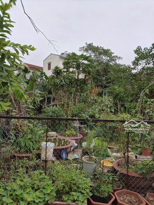 cực hiếm, chủ cần tiền bán gấp mảnh đất đẹp sát hồ quảng bá, 50m mt9 giá chỉ 11,5 tỷ.