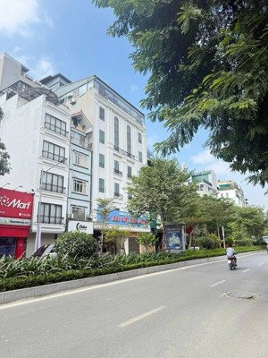 bán nr đẹp tại lạc long quân, 15,2 tỷ, 46m2, 3pn, 4wc, tây hồ, hà nội