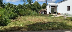 bán đất trồng cây lâu năm có thổ cư một phần tại cà mau