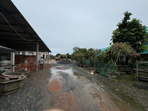 nền thổ cư mặt tiền ql50 mặt tiền lớn 21m .