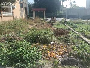 Siêu đẹp 50m2 tại Lương Quy An Dương Hải Phòng