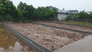 chính chủ cần tiền kinh doanh dịp tết, bán gấp đất cực đẹp, đã có sổ đỏ.