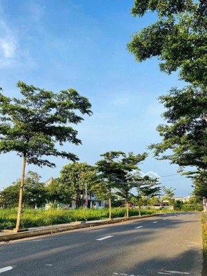 kèo thơm xuất hiện, 2 lô liền kề diện tích hơn 200m2 thích hợp xây nhà vườn