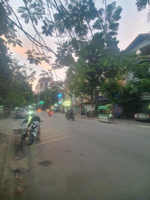 chính chủ cần cho thuê tầng 1 trục kinh doanh đường 19.5m thích hợp spa, kinh doanh buôn bán