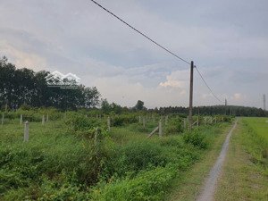 bán đất thổ cư ấp 7 bàu đồn, gò dầu, tây ninh