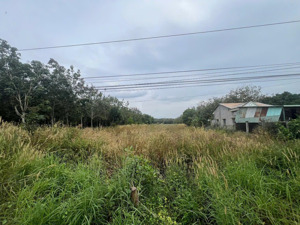 bán đất mặt tiền dt651e thôn xuân ninh, xã xuân sơn, vạn ninh | 3.864,5m² full thổ ngang 14,7m