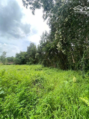 bán đất thôn xuân thọ, xuân sơn 192m² đất ở, giá chỉ 890 triệu, phù hợp ở lâu dài