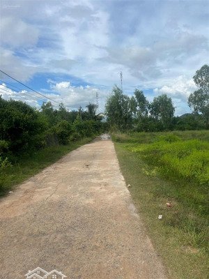 đất ở giá mềm thôn xuân thọ, xuân sơn | 214,8m² đất ở nông thôn chỉ 4,5 triệu/m²