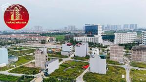 Hàng Hiếm Vị Trí Đẹp Đất Dịch Vụ An Thượng Mặt Tiền 8m