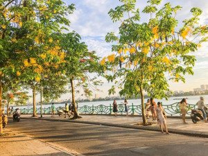 tòa căn hộ cực đẹp phố âu cơ, tây hồ. diện tích 130m2, 7 tầng thang máy, cách phố 30m, dt 100tr/th