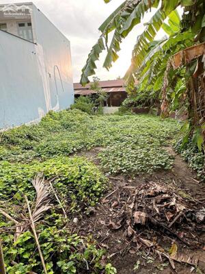 Bán Lô đất DT 5m x 20m, sổ riêng thổ cư, 2 tỷ 350tr, kp2 phường Trảng Dài