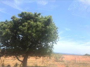 bán đất thôn hồng lâm, xã hoà thắng, bắc bình, bình thuận, 2,2 tỷ, 2500m2 mt rộng 22m