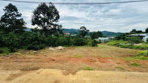 bán gấp đất đẹp tại xã hoà bắc, di linh, lâm đồng, giá 1,45 tỷ