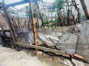 bán đất tiên hội trong lõi vinhomes cổ loa giá tốt tiên hội đông hội đông anh ,hà nội