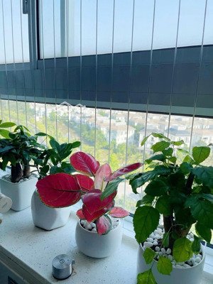 căn chung cư vị trí đẹp nhất sài đồng - tiện ích đầy đủ - cần thanh khoản gấp.