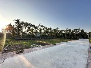 gia đình cần bán lô góc 95m2 tại bạch long