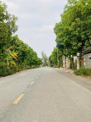 Bán lô C19 Trần Doãn Hựu, Cụm Kinh Tế, Đồng Tâm. Diện tích: 100m2