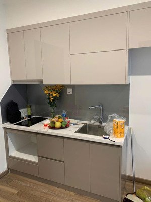 cho thuê căn studio nguyên bản có bếp tòa zr2 chỉ 5tr5/th (bao phí dịch vụ)