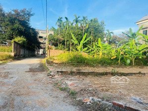 bán đất thổ cư huyện sóc sơn 88m2 ô tô tránh nhau