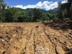 đất view sông cu đê 1000m2 có 600m2 đất ở 2 mặt tiền, làm homestay, xây nhà vườn