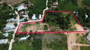 đất làm trang trại ở hòa ninh, 8000m2 có 300m2 đất ở