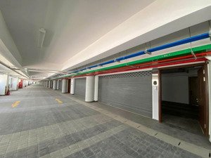 xem nhà ngay 3pn-2wc-xe hơi chạy lên nhà khu diamond celadon city. giá tốt nhận nhà trước tết 2026