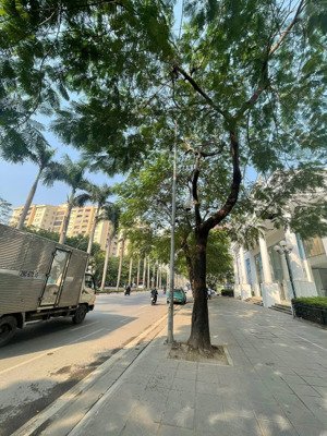 siêu hiếm đất đấu giá lê đức thọ lô góc hàm cá mập xây khách sạn ccmn sẵn gpxd