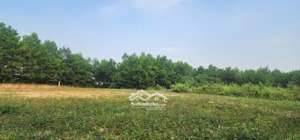 chính chủ cần bán lô đất xã vạn phái - phổ yên - thái nguyên