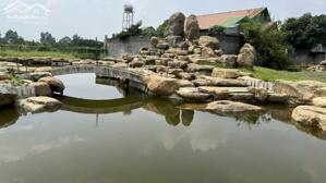 Bán khu vườn cây ăn trái sinh thái, mặt tiền đường Hương Lộ 15, xã Bình Lợi huyện Vĩnh Cửu tỉnh Đồng Nai