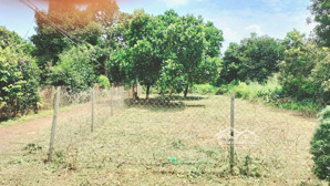 #mặt tiền đường nhựa, 8m x 25m ,khu dân cư,sau lưng trường học