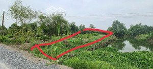 bán đất trồng cây lâu năm tại ấp bà nghiệm, xã mỹ lạc, huyện thủ thừa, long an diện tích 973.4m2