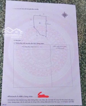 bán nhanh 1ha (10.000m2) đất vườn cafe trung tâm xã đạ k''nàng, lâm đồng