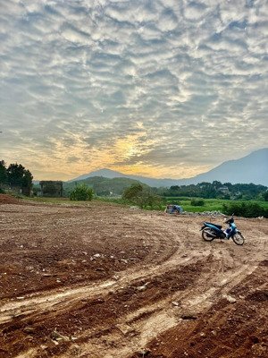 cần bán gấp 3000 mét lô gốc tại thôn muỗi yên bài giá chỉ 2.x tỷ, 