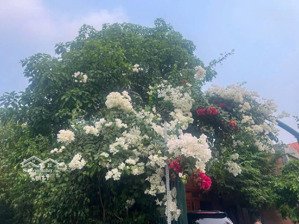 biệt thự 2 tầng ven sông 14x28m - xe hơi tới nơi - 2pn, 2wc - nguyễn bình, nhà bè - nhỉnh 9 tỷ