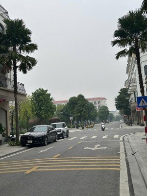 giỏ hàng liền kề chà là giá tốt nhất vin ocean park 2 |từ 7,3 tỷ | có sổ đỏ hđmb 