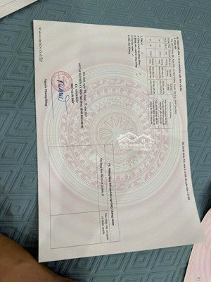 bán đất tân lạc, hòa bình, dt 1,1ha. sổ đầy đủ sang tên trong ngày. giá chỉ 1 tỷ xxx