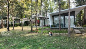 bán biệt thự 140m2 forest villa flamingo đại lải full đồ sẵn 2,8 tỷ sổ tmdv 50 năm. lh 