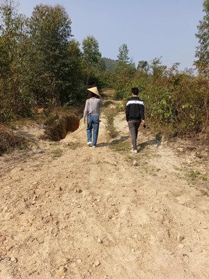 cần bán lô đất rừng sản xuất thôn đồng cà, xã yên dương, tam đảo, vĩnh phúc