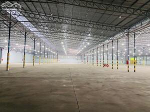 Cho thuê kho xưởng bãi 10.500m² kho xây dựng 7.500m² có PCCC tự động, đường Võ Nguyên Giáp, Q. Cái Răng, TP. Cần Thơ, lộ container