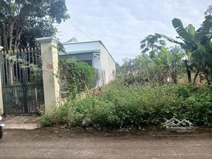 chủ ngộp cần sang gấp lô đất đường bê tông 244m2 tại xã phước thành, tp hồ chí minh mới