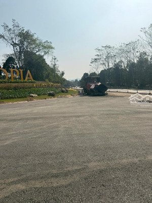 cầm 5 tỷ chưa chắc đã sở hữu 1 căn chung cư 2 ngủ nội đô, nhưng với 5 tỷ đã sở hữu một biệt thự