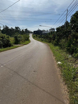 chính chủ bán đất hòa bắc - di linh, thế đất đẹp, bằng phẳng