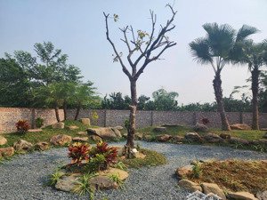 siêu phẩm nghỉ dưỡng tại đồng bèn, quốc oai, hà nội, 9,47 tỷ, 451 m2 hàng hiếm giá tốt