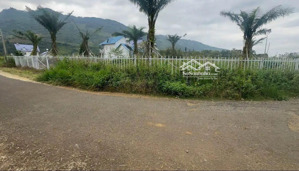 bán đất vườn sẵn thổ cư hòa bắc, di linh.