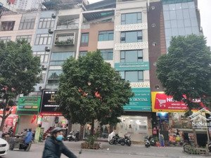 còn bao nhiêu nhà mặt phố trung tâm cầu giấy có 8m mặt tiền và đang tạo dòng tiền tốt như thế này?