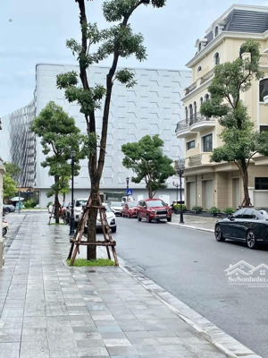 vin chơi lớn 32 tỷ giảm còn 24 tỷ căn biệt thự đẹp chất ngay cạnh vincom duy nhất căn đẹp